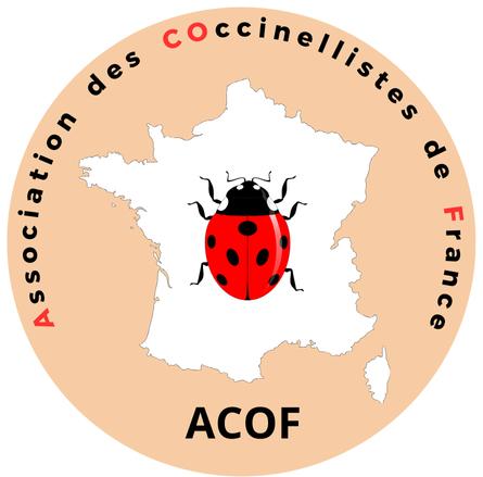 Indéterminé